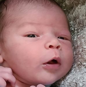 Meet your Posher, Sherry